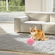 thumbnail image 5 of Catnip , juguetes de peluche para , ejercicio sonido táctil, para el aburrimiento, suministros para mascotas, - Rosa Rosado Salvador bola de hierba gatera, 5 of 7