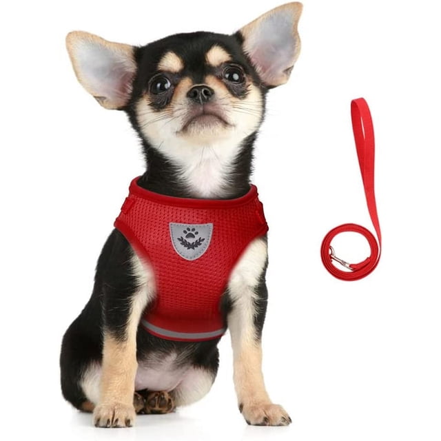 LAICAIW Dog Harness and Leash Set, No Pull Reflective Adjustable Pet Soft Mesh Chest Vest Harnesses Easy Control for Small Medium Dogs and Cats Outdoor Walking