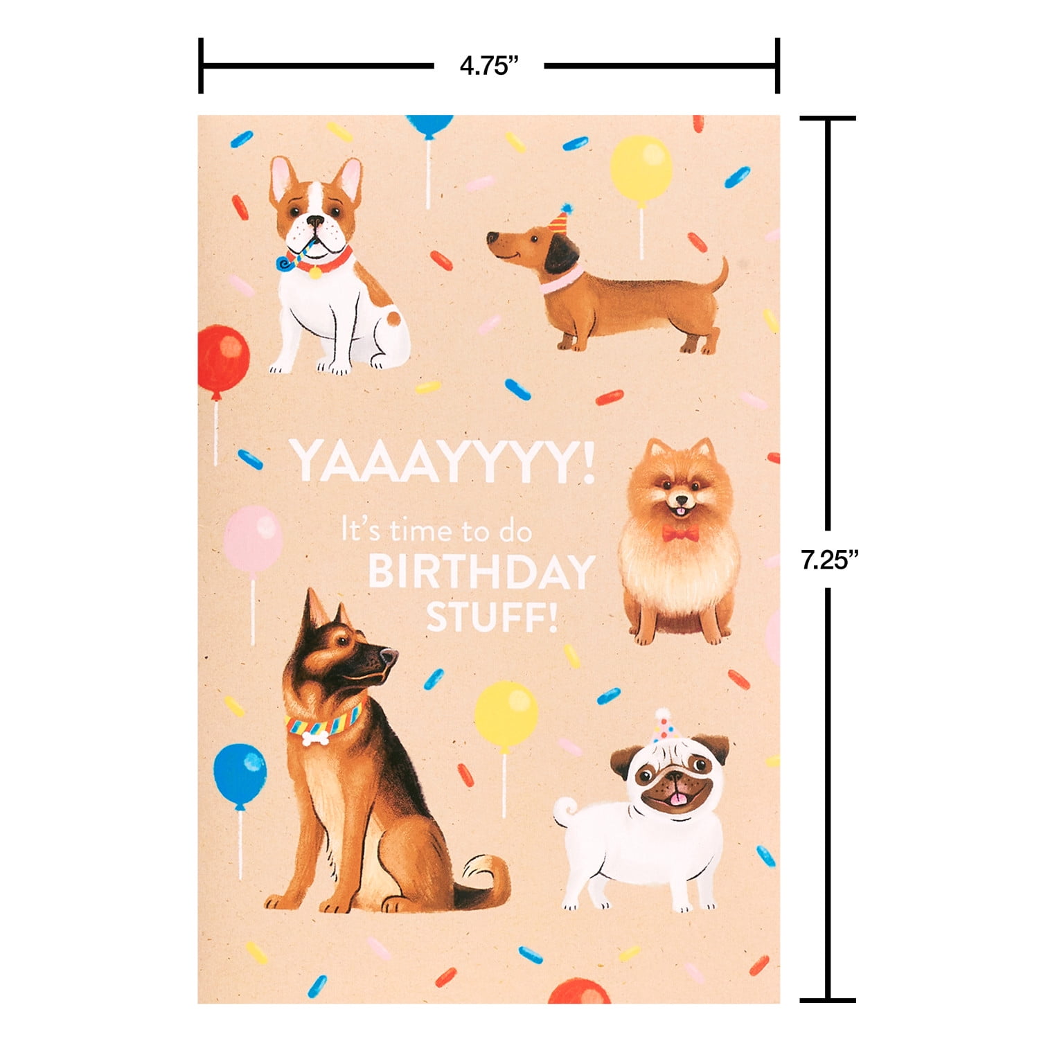 American Greetings Birthday Card Boxed Assortment for Anyone, 4 Designs, Dogs, Birthday Icons Muti-Colored (12-Count)
