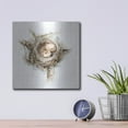 thumbnail image 4 of Luxe Metal Art 'Bird Nest Study I' by Ethan Harper, Metal Wall Art, 12"x12", 4 of 9