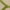 Green, variant on Nourison Aloha Indoor/Outdoor Red 2'8" x 4' Area Rug, (3x4)
