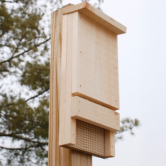 Mini Wooden Bat Box House Shelter - Outdoor Bat House Holds up to 12 Bats - Eco-Friendly Eastern White Pine Bat Habitat for Natural Mosquito Control - Mount to Tree, Post, or Building