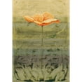 thumbnail image 3 of Clema 18x24 Black Modern Framed Museum Art Print Titled - Papaver, 3 of 5