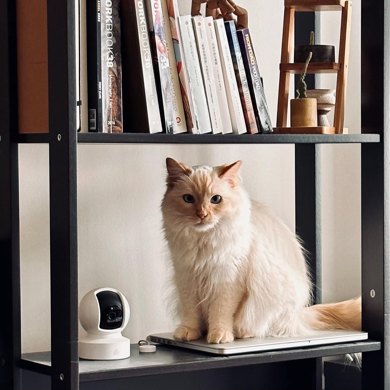 2K+ Indoor Pan/Tilt Wired Security Camera - Works as a Baby Monitor & Pet Camera, Motion Detection & Tracking, 2-Way Audio, Night Vision, Subscription-Free Local Storage or Optional Cloud, KC410S