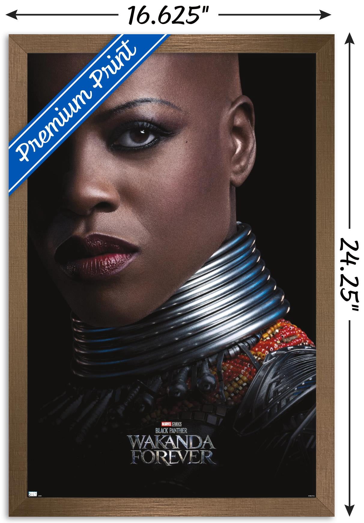 Marvel Black Panther: Wakanda Forever - Ayo One Sheet Wall Poster, 14.725" x 22.375" Framed