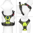 thumbnail image 2 of Chaleco reflectante PHOEPET con clip frontal y asa para perros, talla M, 2 of 6