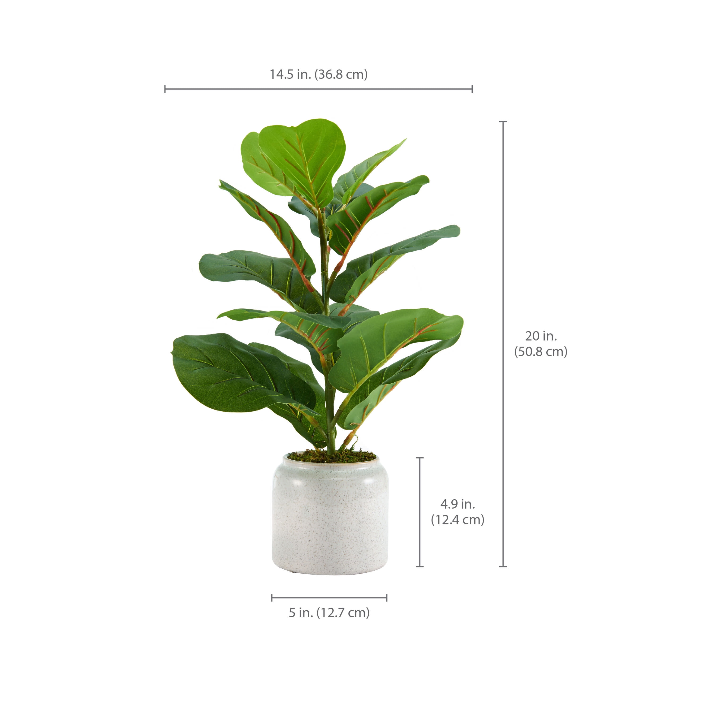 Our Favorite Faux Greenery — SpaceLift