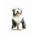 thumbnail image 1 of Qisvanset Old English Sheepdog Canvas Print 12x16 Inch Study Room Art, 1 of 8