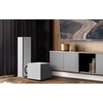 thumbnail image 4 of Definitive Technology Descend DN10 Subwoofer de 10 Pulgadas optimizado digitalmente para películas y, 4 of 12