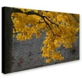 thumbnail image 2 of Trademark Fine Art "Golden Autumn Color" Canvas Art by Kurt Shaffer, 2 of 3