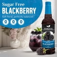thumbnail image 2 of Syruvia Blackberry Sugar Free Coffee Syrup No-Calorie Coffee Sauce for Coffee, Lattes, Shakes, Smoothies, Desserts, 25.4 Fl. Oz, 2 of 7