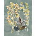 thumbnail image 2 of Zarris, Chariklia 15x18 White Modern Wood Framed Museum Art Print Titled - Collected Florals III, 2 of 4