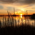 thumbnail image 2 of Aledanda 26x26 White Modern Wood Framed Museum Art Print Titled - Maryland Sunset II, 2 of 4