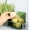 Green_Base#2495, variant on PET Fridge Door Organizer Storage Bin for Refrigerator Side Shelves, Holder for Fruit, Vegetables, Garlic, Ginger, and Small Household Items