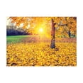 thumbnail image 1 of Ambesonne Forest Jigsaw Puzzle, Evening Natural Park, Heirloom-Quality Fun Activity for Family Durable Cardboard, 1000 pcs, Yellow Green, 1 of 2