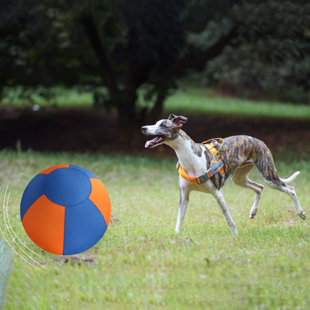 Large Inflatable Dog Toy Ball for Outdoor Fun And Training Heavy Duty Interactive Bouncy Toy for Backyard Play