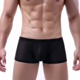 thumbnail image 1 of Evankin Hombres Ropa Interior Transpirable Ver a través de Calzoncillos Boxer Sexy Malla Bikini Suave Masculino Boxers Frescos (Negro L), 1 of 5