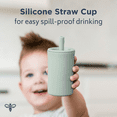 thumbnail image 2 of Rose Babeehive Goods Straw Cup | Safety and Comfort | Baby-Friendly Cup | Gentle, Spill-Resistant Straw | Premium, Non-Toxic and BPA-Free | Perfectly Sized For Tiny Hands | Lightweight and Ergonomic, 2 of 6