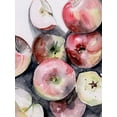 thumbnail image 2 of Parker, Jennifer Paxton 25x32 White Modern Wood Framed Museum Art Print Titled - Fruit Slices I, 2 of 4