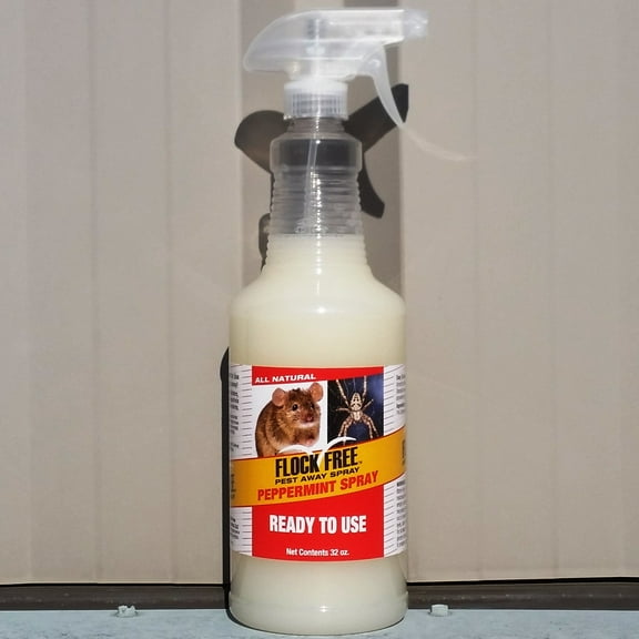 Mice, Spiders, Ants, Roach Repelling Natural Peppermint Spray “Pest Away”, 32 oz