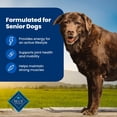 thumbnail image 4 of Blue Buffalo Life Protection Formula, Natural Senior Dry Dog Food, Chicken, 40lb, 4 of 11