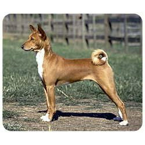Basenji Mousepad