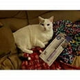 thumbnail image 3 of Small Pet Select Hair Buster Comb, 3 of 10
