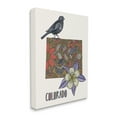 thumbnail image 3 of Stupell Industries Colorado State Flower & Bird Detailed Flower Pattern Graphic Art Gallery Wrapped Canvas Print Wall Art, Design by Valentina Harper, 3 of 7