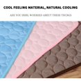 thumbnail image 3 of Dog Mat Cooling Summer Washable Pad Mat For Dogs Cat Blanket Sofa Breathable Pet Dog Bed For Small Medium Large Dogs, 3 of 13