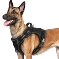 thumbnail image 1 of Chaleco para perros Rabbitgoo Tactical Service para mascotas, color negro, L, 1 of 9