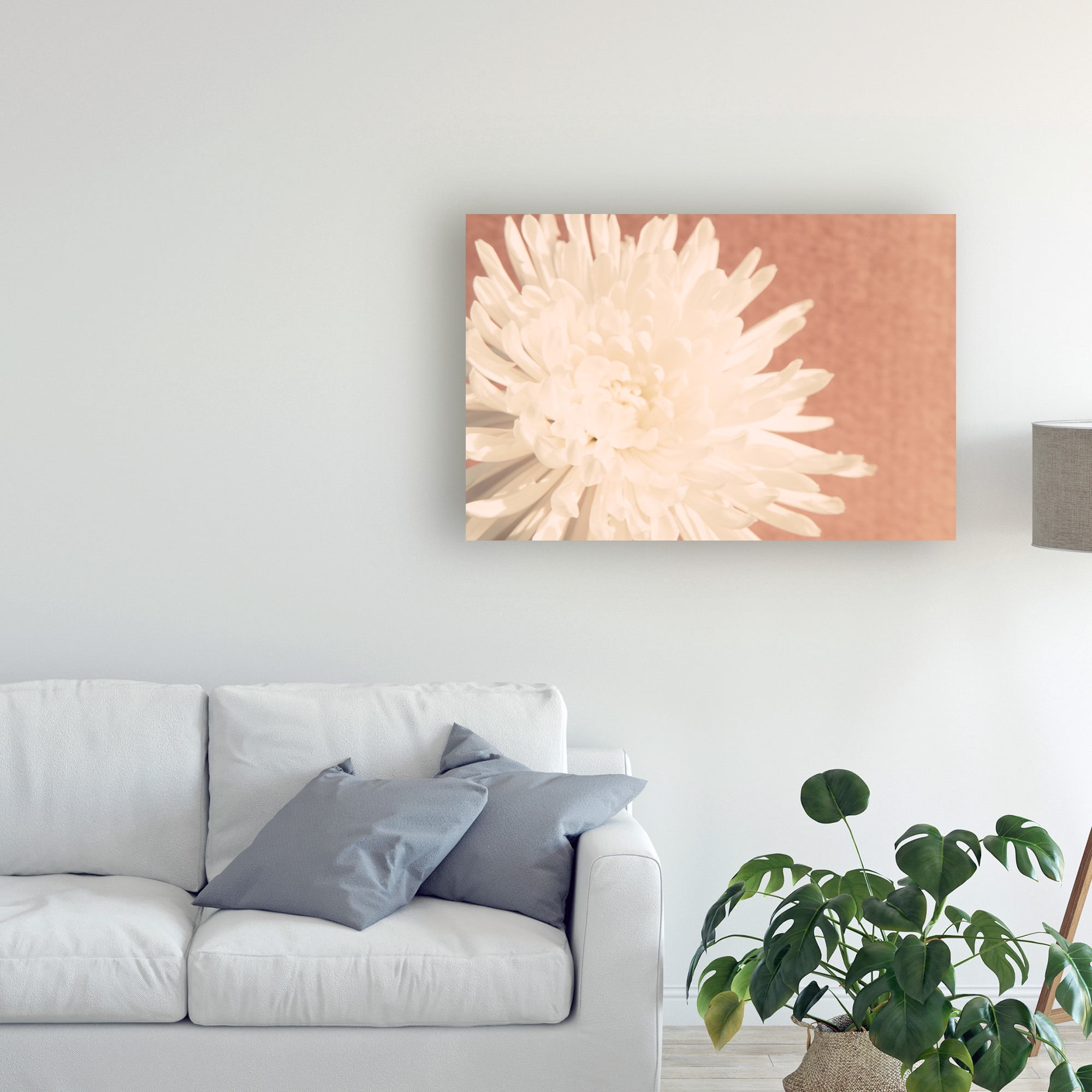 Trademark Fine Art 'Blush Burst I' Canvas Art by Jason Johnson