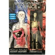 Science Squad Unbelievable Science Human Model Squishy Anatomy