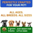 thumbnail image 6 of Bark&Spark Probiotic Chews for Dogs - Digestive Enzymes, Diarrhea & Upset Stomach Relief - Gut Health, Itchy Skin, Prebiotic, Bacon (120 ct), 6 of 7