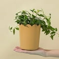 thumbnail image 6 of Hariumiu Flowerpot All Match Bright-colored Plastic Petal Edge Large Opening Flower Planter for Home, 6 of 8
