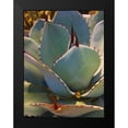 thumbnail image 2 of Tenoever, William 12x14 Black Modern Framed Museum Art Print Titled - Mescal Agave A, 2 of 5