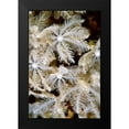 thumbnail image 2 of Factor, Beverly 17x24 Black Modern Framed Museum Art Print Titled - Feathering Flower I - Papua New Guinea, 2 of 5