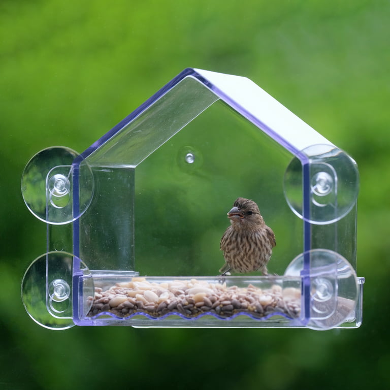 WLLKOO Window Bird Feeder, Bird House for Outside with 2 Rod, Small Acrylic  Window Bird Feeder with Strong Suction Cups and Drain Holes 5.9 * 2.4 *