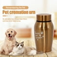 thumbnail image 2 of Arcticwind Pet Cremation Urns for Dog and Cat Ashes, Memorial Paw Print Urn, Stainless steel, To commemorate your pet friend, Gold, 2 of 6