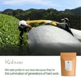 thumbnail image 2 of Kabuse Japanese Tea Japan - Kabusecha Between Sencha And Gyokuro Green Tea From Japan 25g, 2 of 5