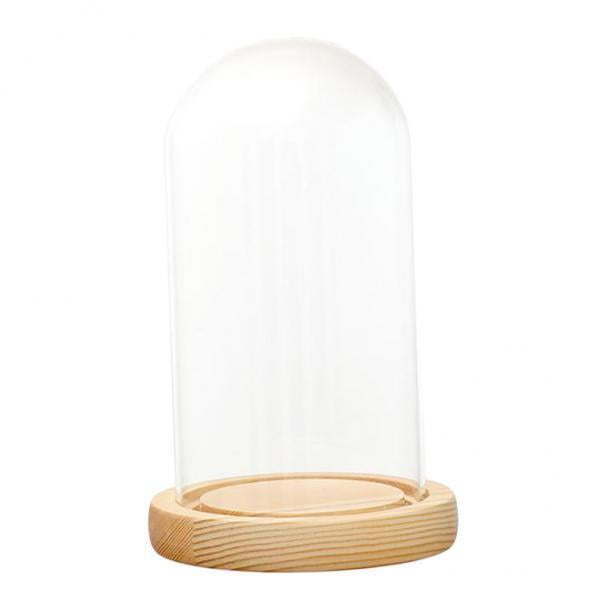 Cúpula de Visualización de Vidrio Transparente Sunnimix con Base de Madera LED D 10x18cm