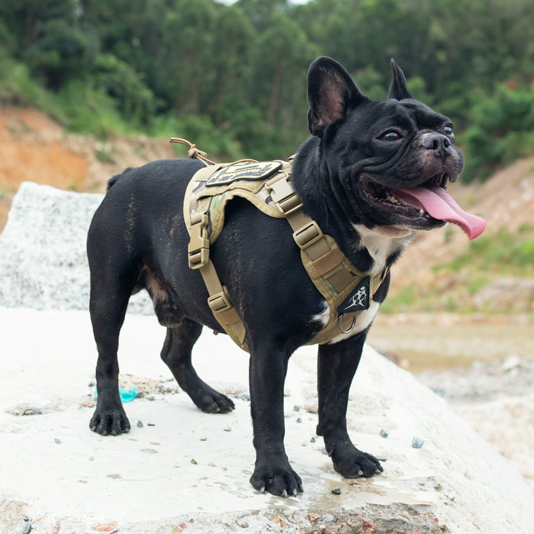 Tactical Dog Harness for Hiking Training, No Pull Molle Vest Harness for  Medium Large Dogs, with Pouches and Patches 
