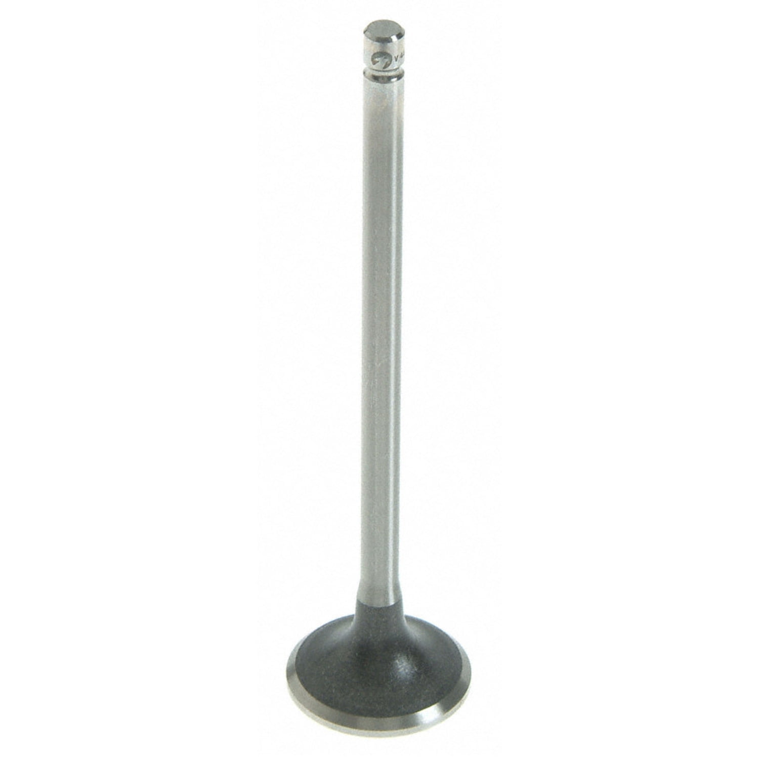 Federal Mogul V4486 FDMV4486 VALVE EXHAUST