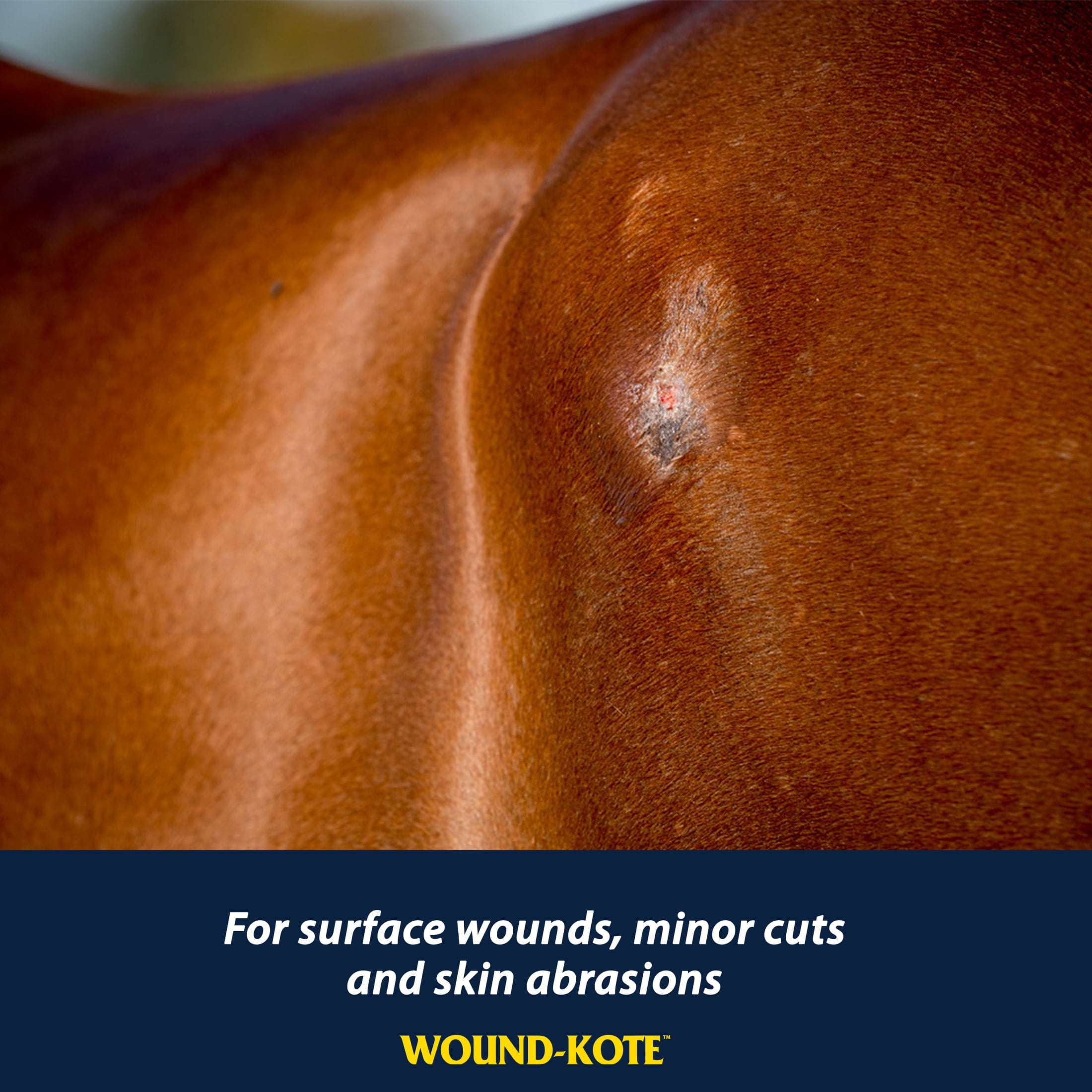 Farnam Wound-Kote Blue Lotion Spray Wound Care Dressing for Use on Horses and Dogs, 7 Ounce