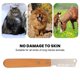 thumbnail image 3 of Hoja de muda para perros, cuchillo pelador de mano profesional para el cuidado de perros, herramienta de aseo para perros multifunción, 3 of 5