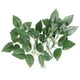 thumbnail image 4 of OUNONA - 10 tallos de alambre floral con hojas, alambre para manualidades, alambre para arreglos florales, tallos de rosas artificiales (verde), 4 of 6