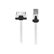 iEssentials - Charging / data cable - Apple Dock male to USB male - 3.3 ft - white - flat