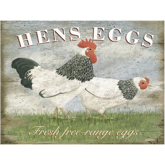 Sun Protected Hen's EggsMetal Sign