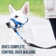 thumbnail image 2 of GoodBoy Dog Head Halter con correa de seguridad - Topes, 2 of 5