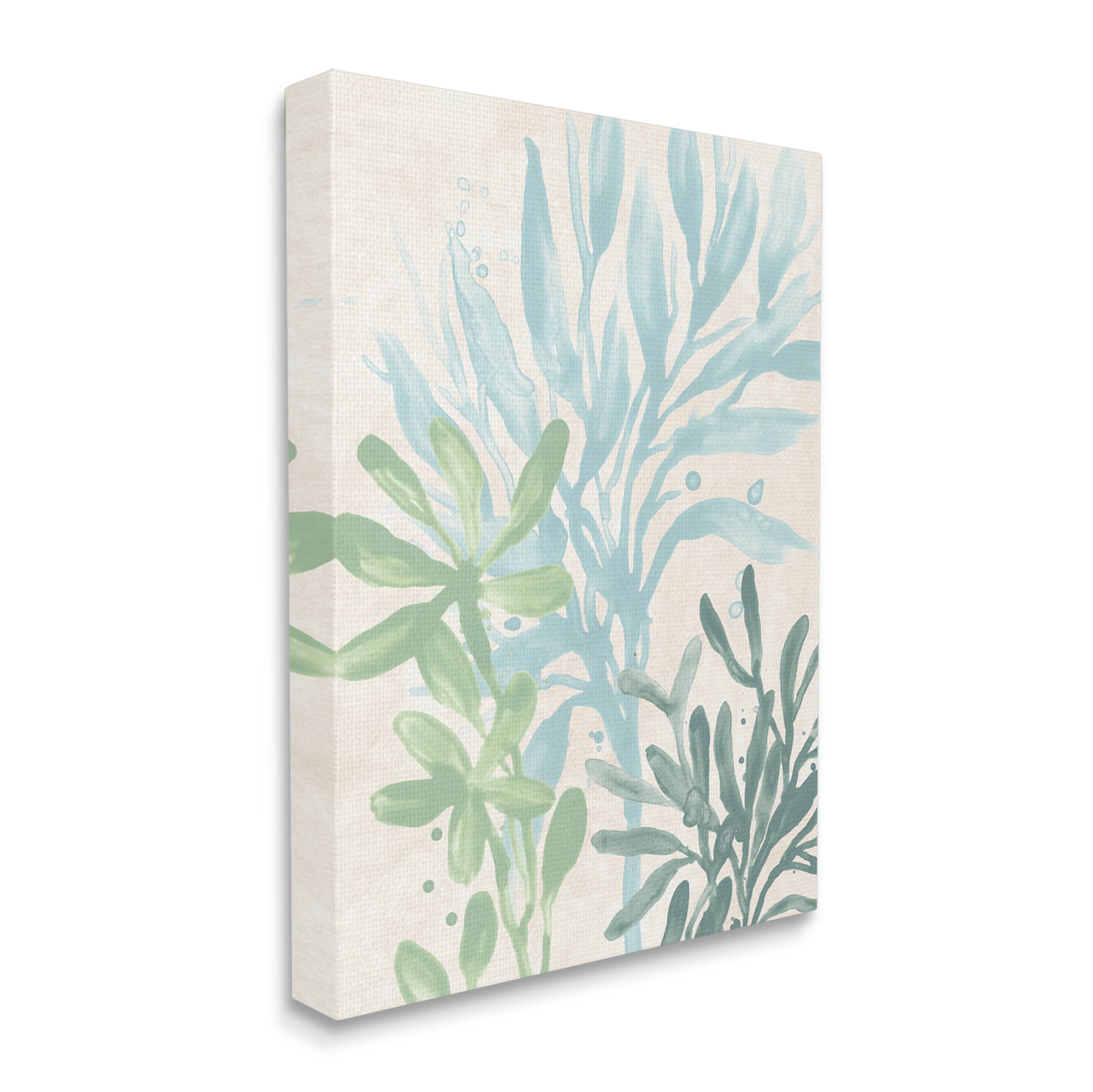 Stupell Industries Underwater Seaweed Botanicals Graphic Art Gallery Wrapped Canvas Print Wall Art, Design by June Erica Vess