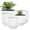 White, variant on Set of 5 Plastic Plant Pots, 10 9 8 7.5 7 Inch Flower Planters with Drainage & Saucers, Black